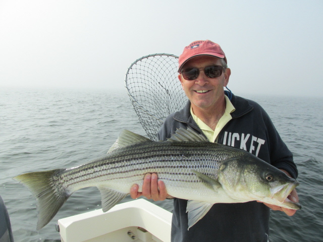 Mike's striper 7-3-13